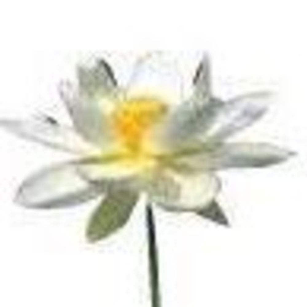 Meet your Posher, Way